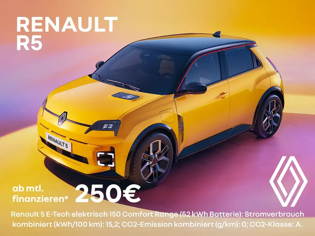 Renault R5 250€ Kopie